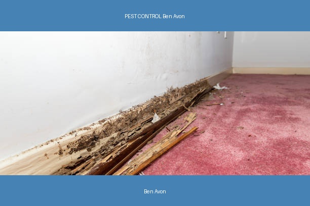 PEST CONTROL Ben Avon